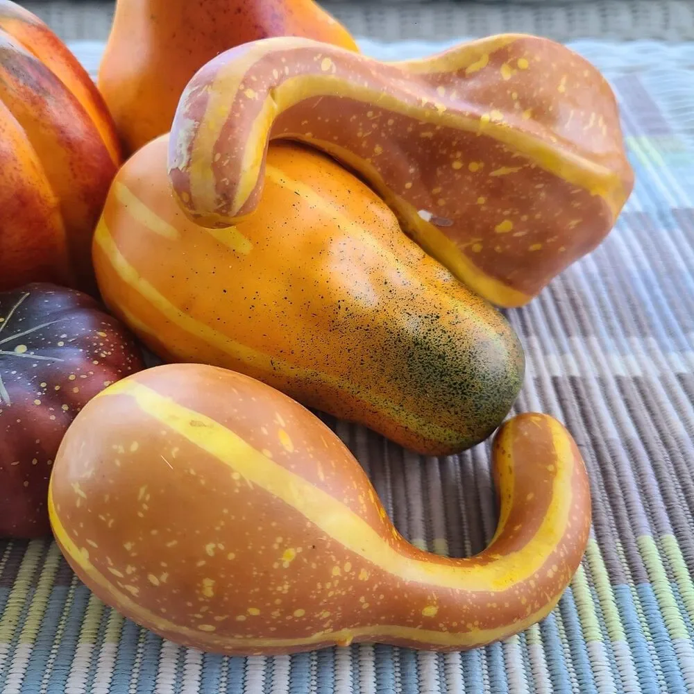 Vintage Life-Like Faux Harvest Lot Gourds Vegetables Fall Autumn Thanksgiving
